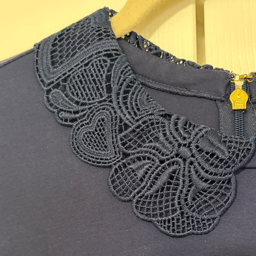Draper James Navy Blue Lace Peter Pan Collar Ponte Knit Persley Dress Size Large - Picture 6 of 6